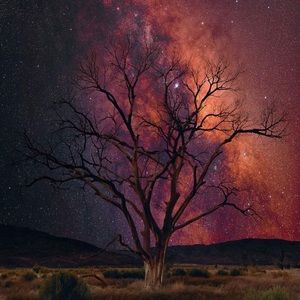 Meet your Posher, Cameron